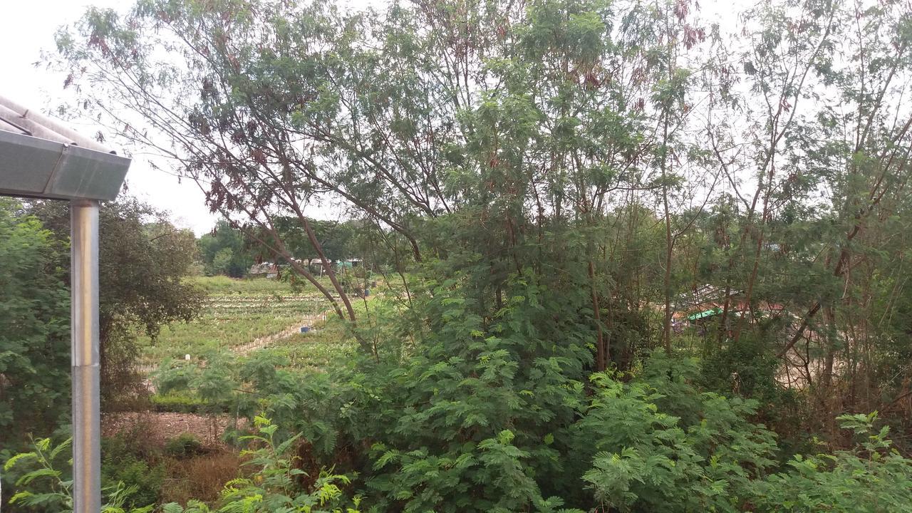 Holiday 清邁 外观 照片